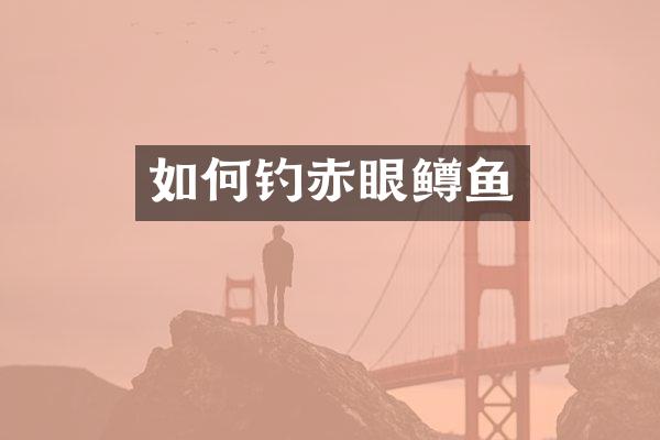 如何钓赤眼鳟鱼