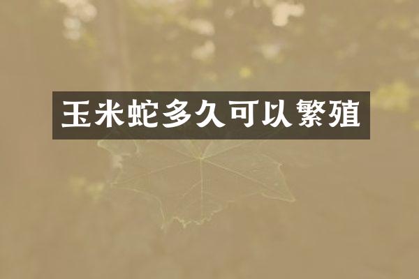 玉米蛇多久可以繁殖