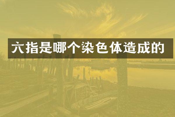 六指是哪个染色体造成的