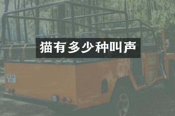 猫有多少种叫声