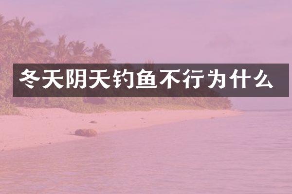 冬天阴天钓鱼不行为什么