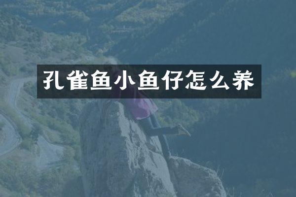 孔雀鱼小鱼仔怎么养