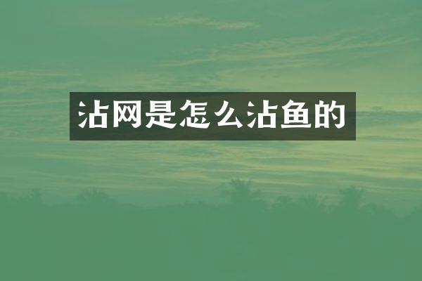 沾网是怎么沾鱼的