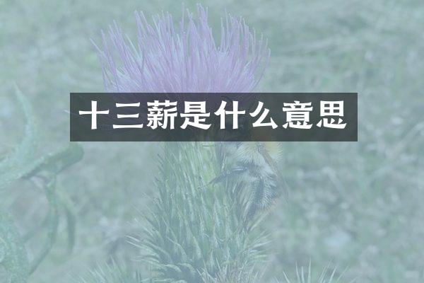 十三薪是什么意思