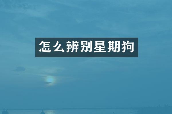 怎么辨别星期狗