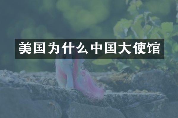 美国为什么中国大使馆