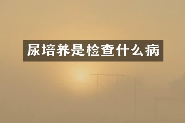 尿培养是检查什么病