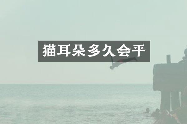 猫耳朵多久会平