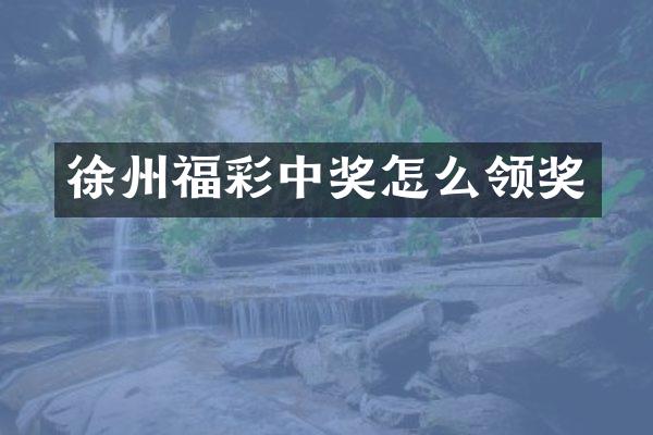 徐州福彩中奖怎么领奖