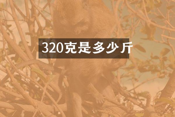 320克是多少斤