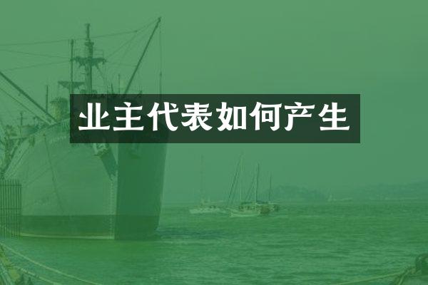 业主代表如何产生