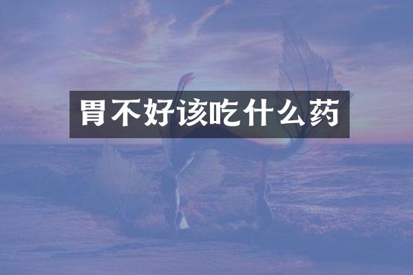 胃不好该吃什么药