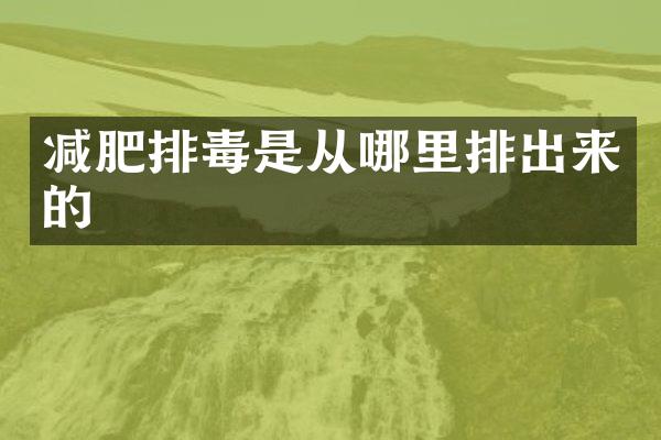 减肥排毒是从哪里排出来的