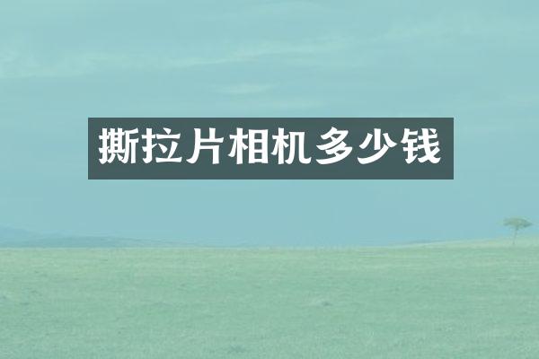 撕拉片相机多少钱