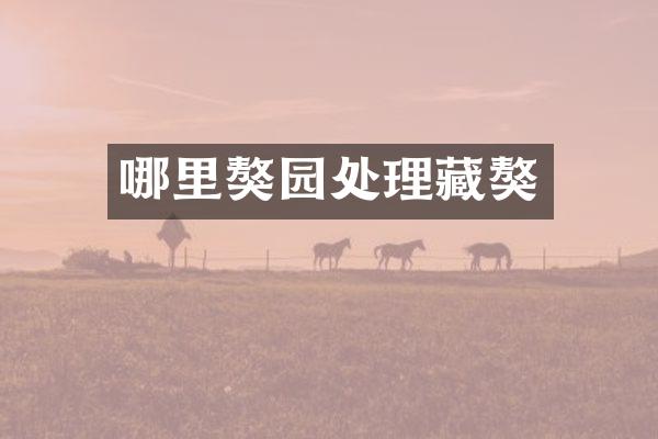 哪里獒园处理藏獒
