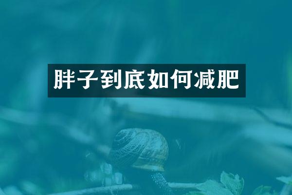胖子到底如何减肥