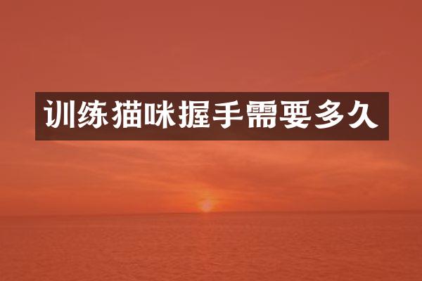 训练猫咪握手需要多久
