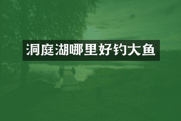 洞庭湖哪里好钓大鱼