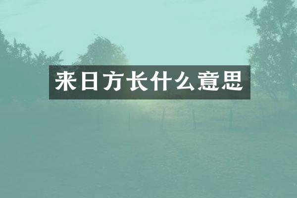来日方长什么意思
