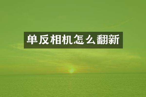 单反相机怎么翻新