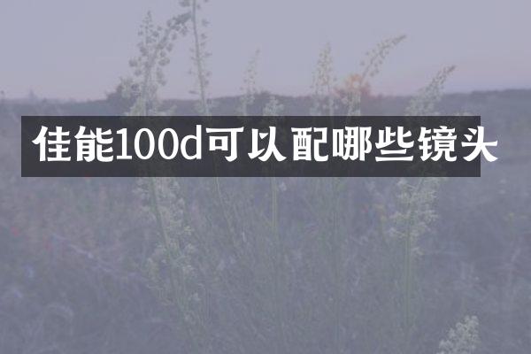 佳能100d可以配哪些镜头