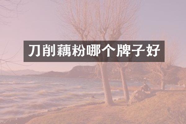刀削藕粉哪个牌子好