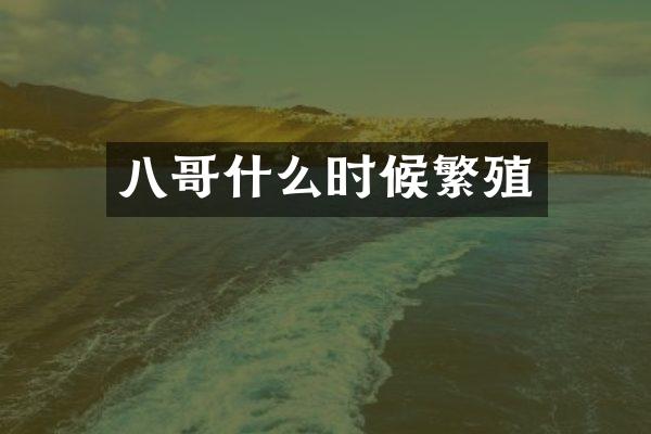 八哥什么时候繁殖
