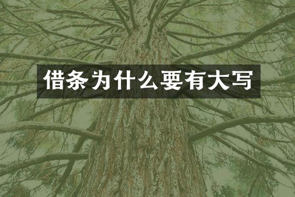 借条为什么要有大写