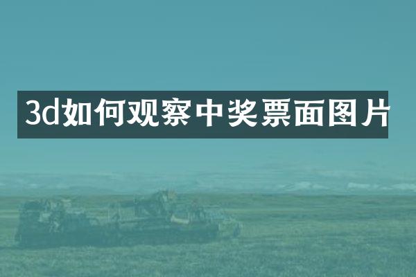 3d如何观察中奖票面图片