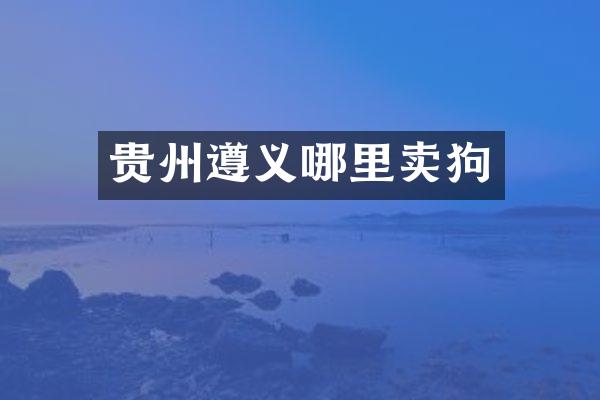 贵州遵义哪里卖狗