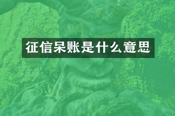 征信呆账是什么意思