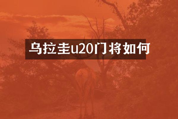 乌拉圭u20门将如何