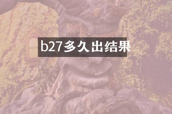 b27多久出结果