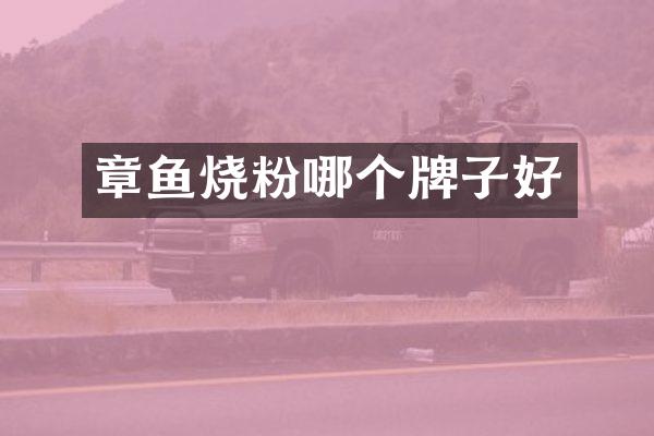 章鱼烧粉哪个牌子好