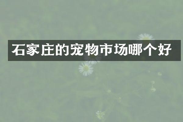 石家庄的宠物市场哪个好