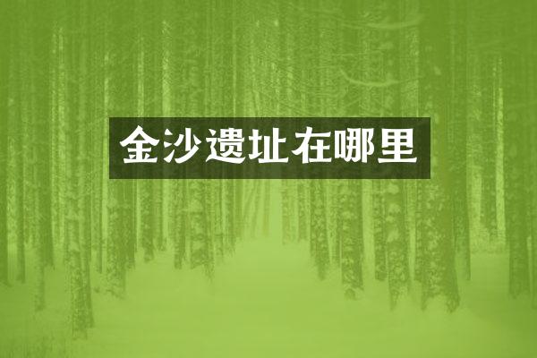 金沙遗址在哪里
