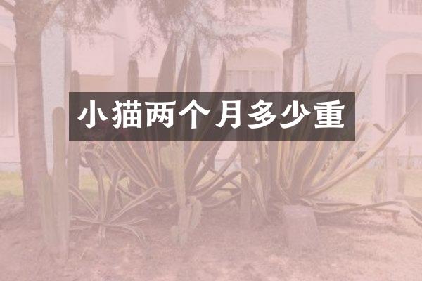 小猫两个月多少重