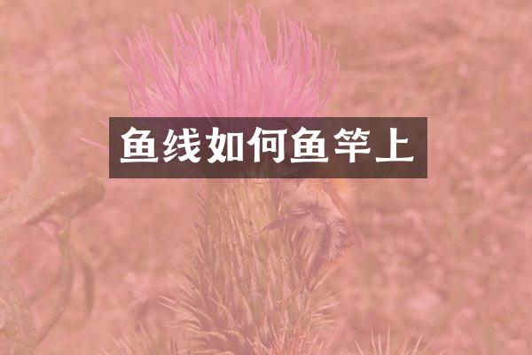 鱼线如何鱼竿上