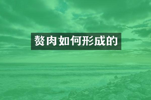 赘肉如何形成的