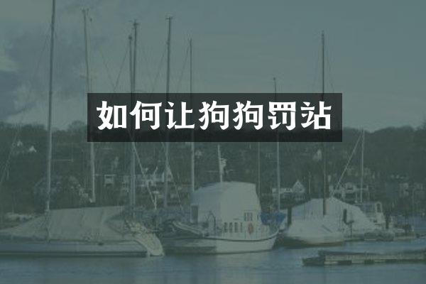 如何让狗狗罚站