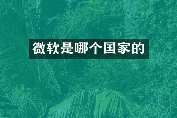 微软是哪个国家的
