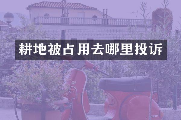 耕地被占用去哪里投诉