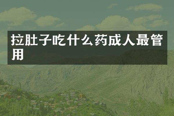 拉肚子吃什么药成人最管用