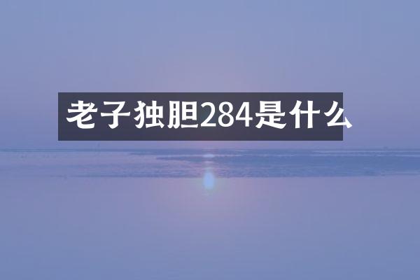 老子独胆284是什么