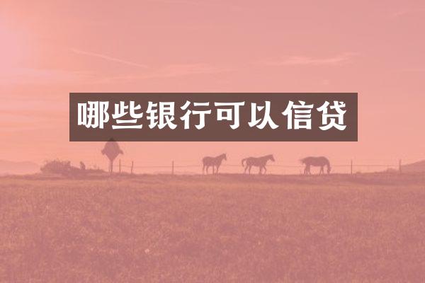 哪些银行可以信贷