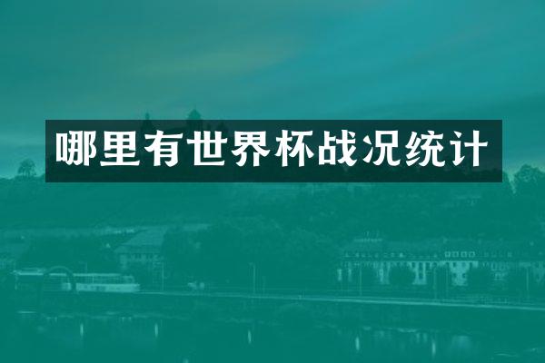 哪里有世界杯战况统计