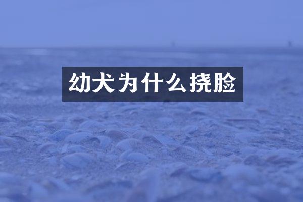 幼犬为什么挠脸