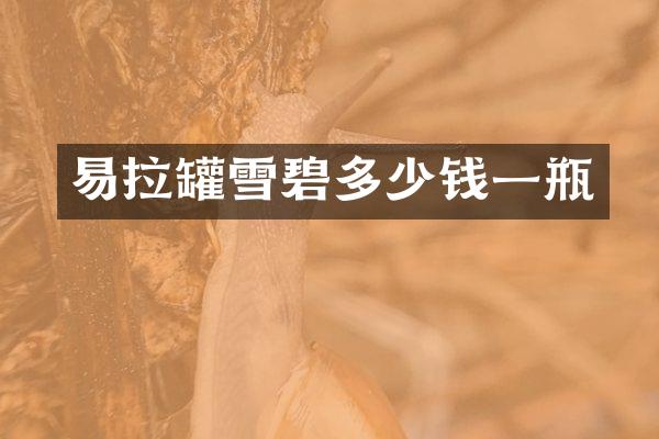 易拉罐雪碧多少钱一瓶