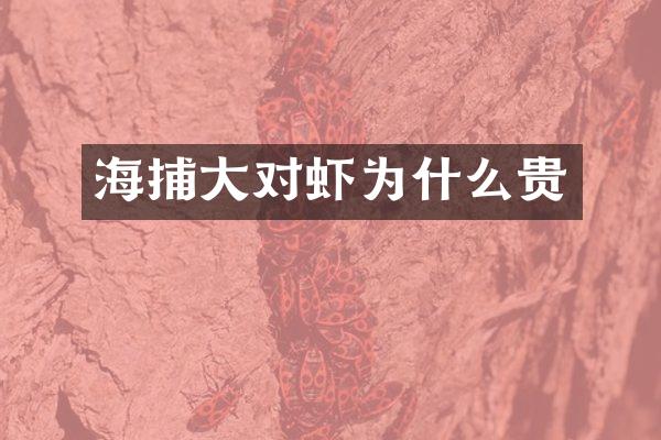 海捕大对虾为什么贵