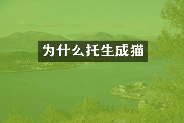 为什么托生成猫